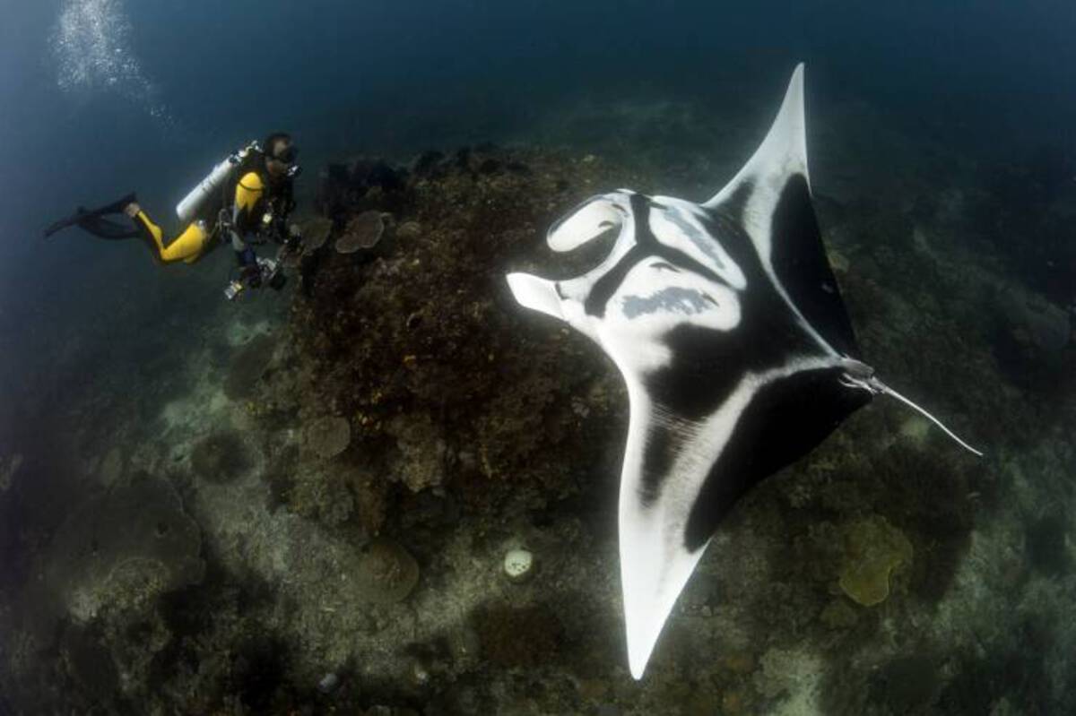 35 Fresh Pics and Memes to Kickstart Monday