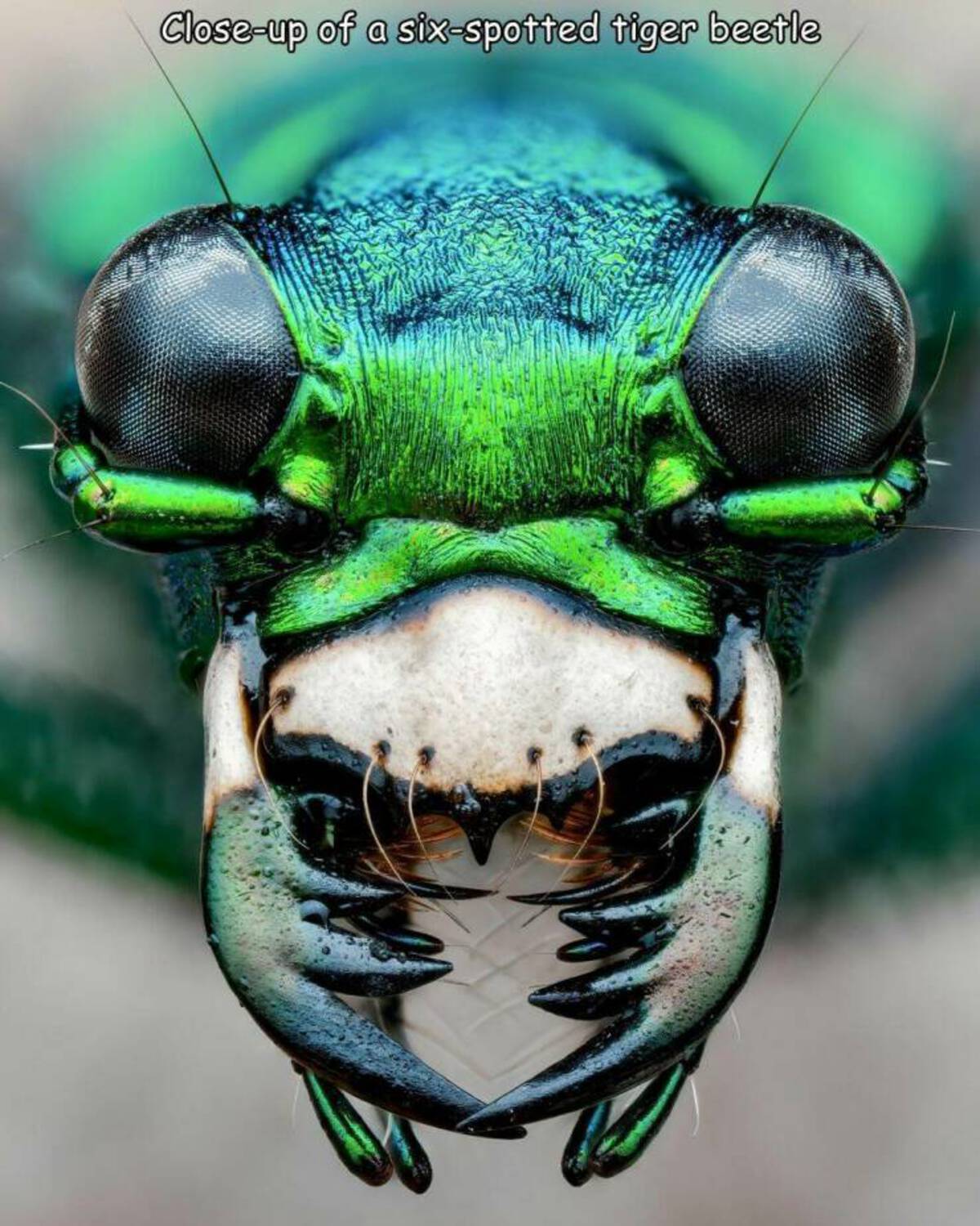 37 Fun Fascinating Photos For Your Eyes Only!