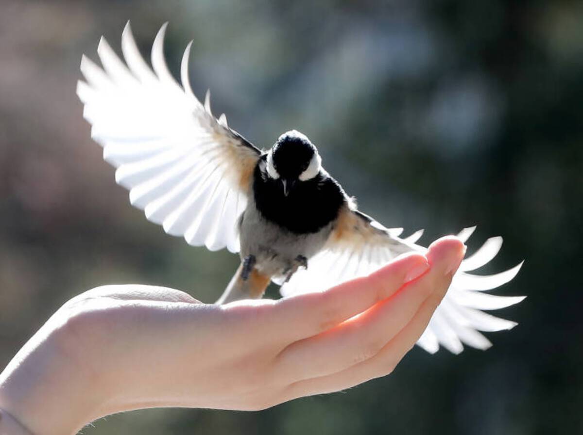 37 Fun Fascinating Photos For Your Eyes Only!