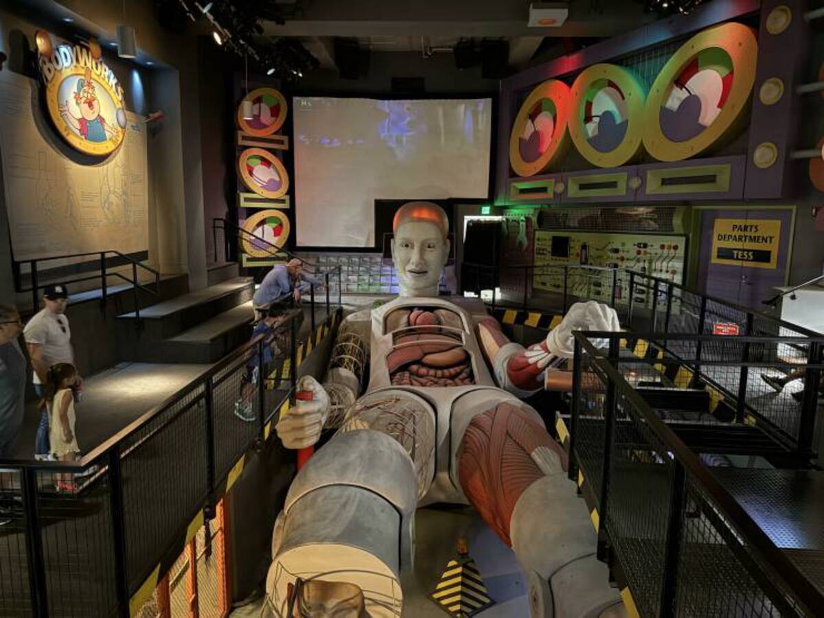 37 Fun Fascinating Photos For Your Eyes Only!