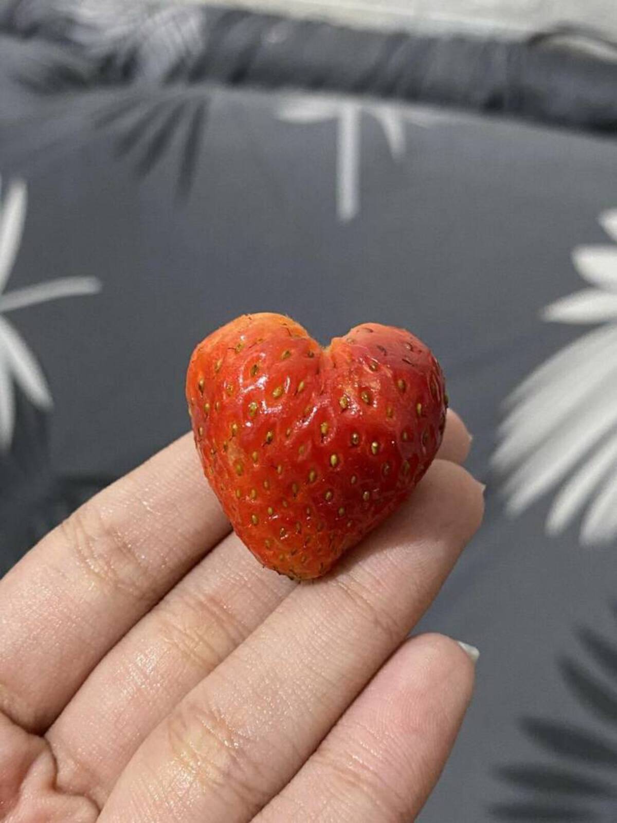 37 Fun Fascinating Photos For Your Eyes Only!