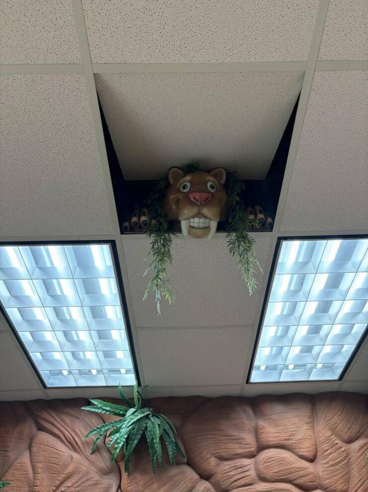 37 Fun Fascinating Photos For Your Eyes Only!