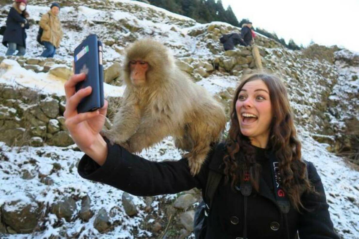 34 Fantabulous Pics and Memes To Kill Some Time