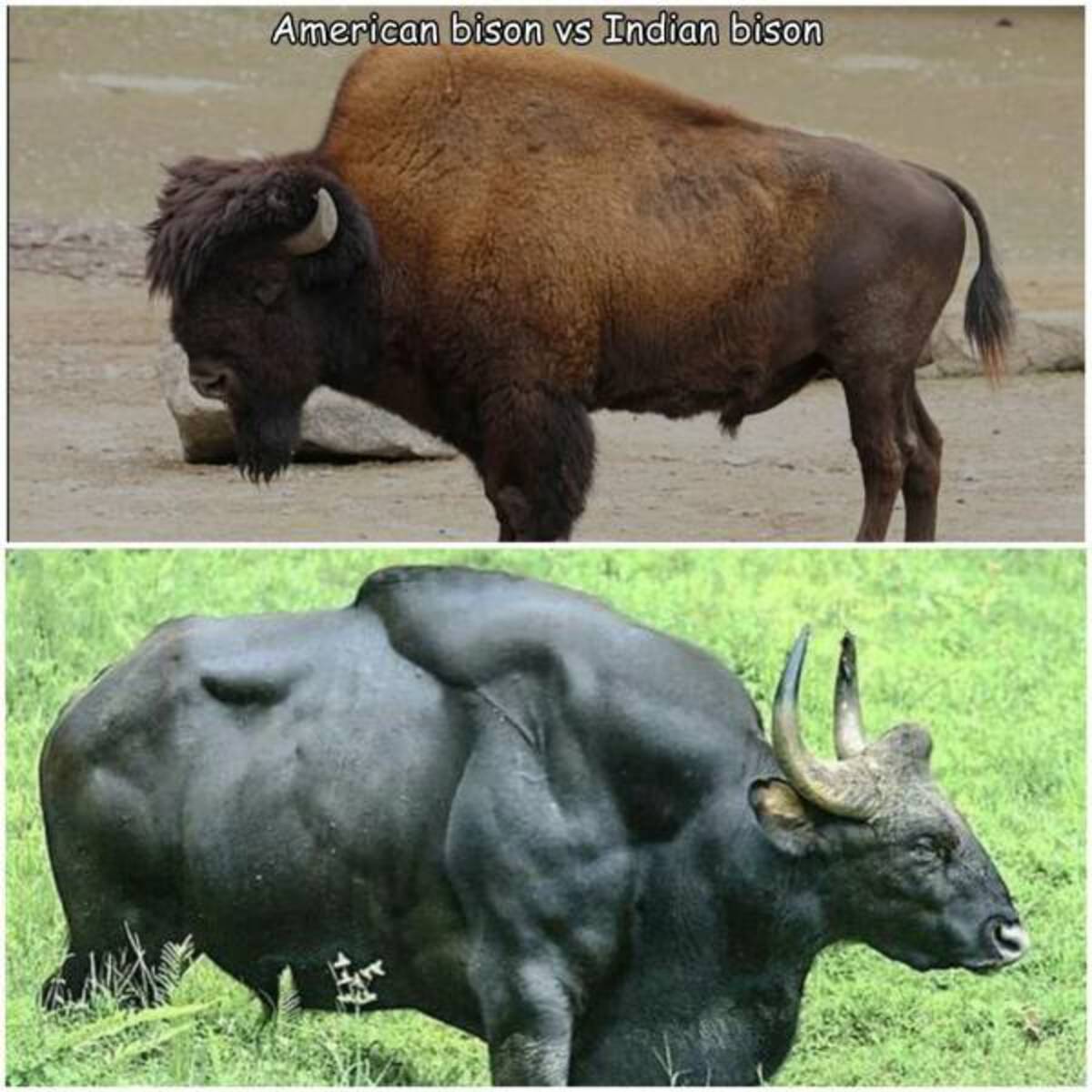 34 Fantabulous Pics and Memes To Kill Some Time