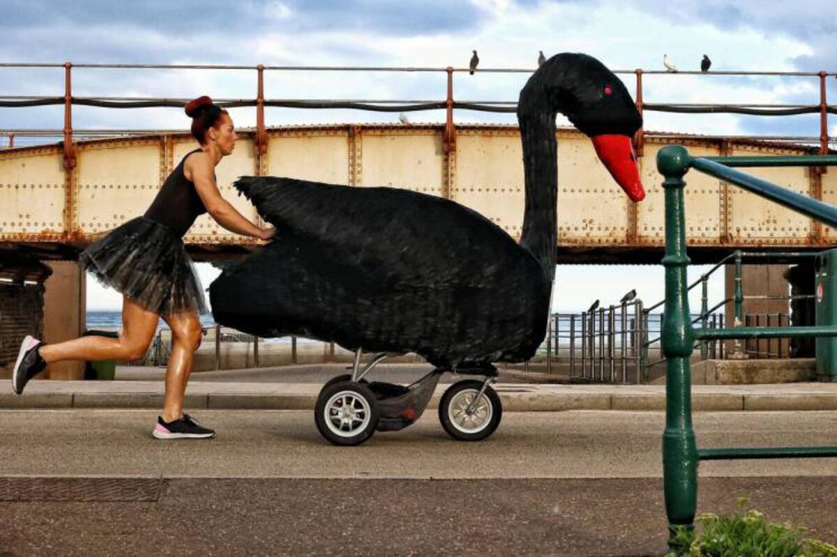 34 Choice Pics and Memes For Your Weekly Pleasure