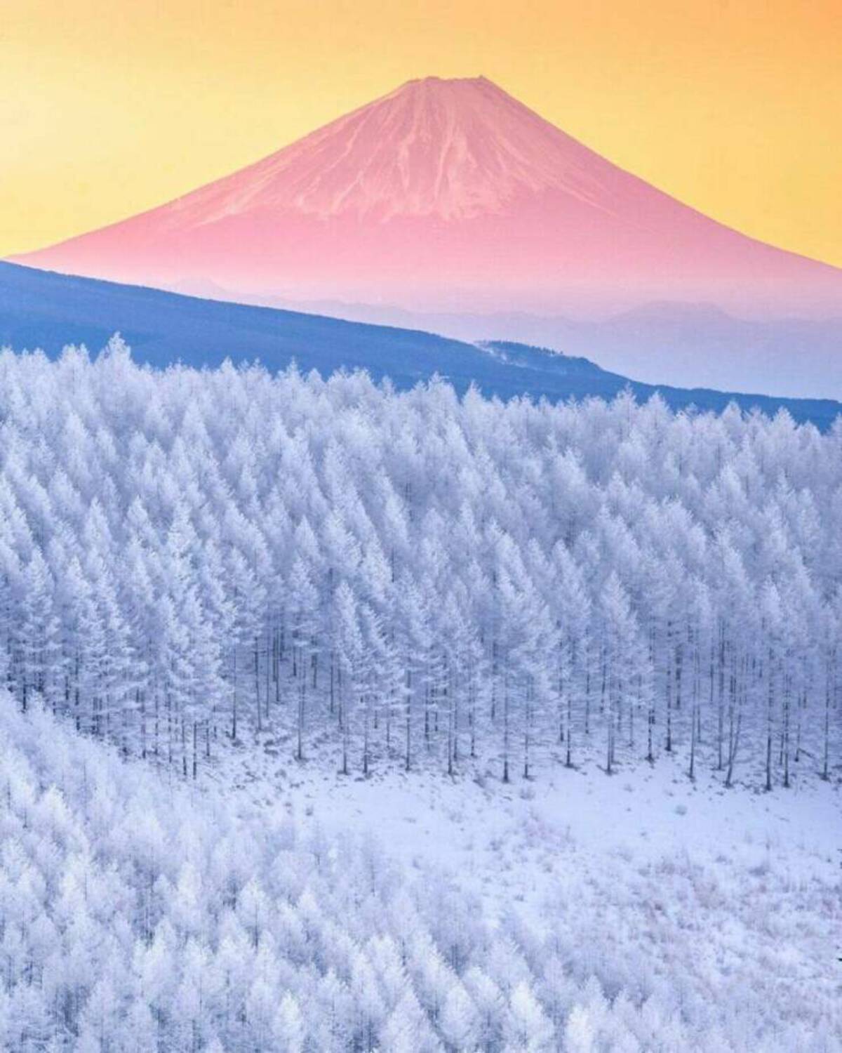 34 Choice Pics and Memes For Your Weekly Pleasure