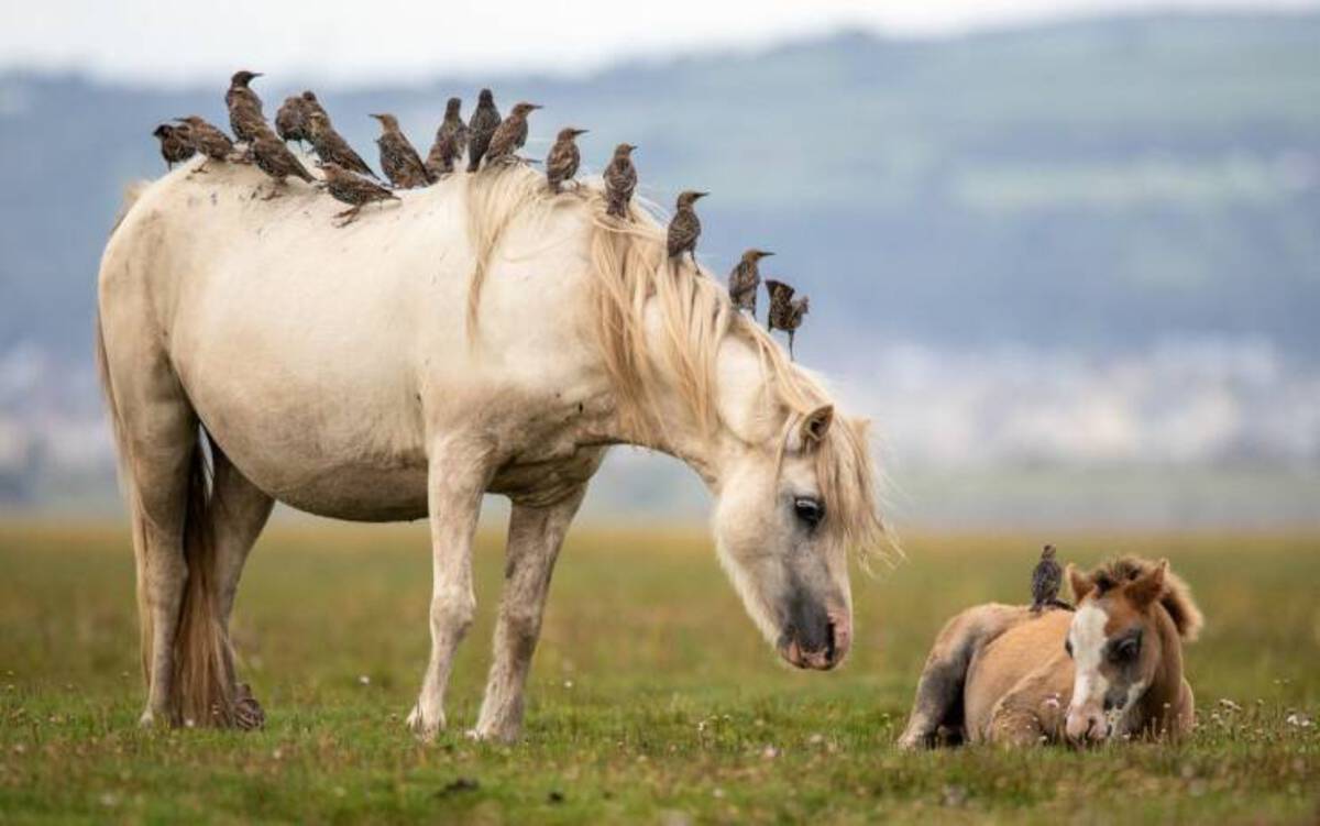 34 Choice Pics and Memes For Your Weekly Pleasure