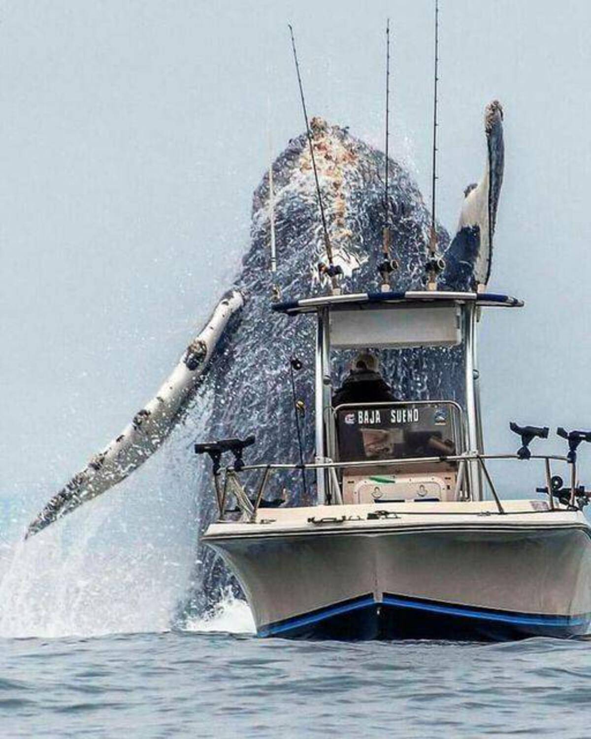 34 Choice Pics and Memes For Your Weekly Pleasure