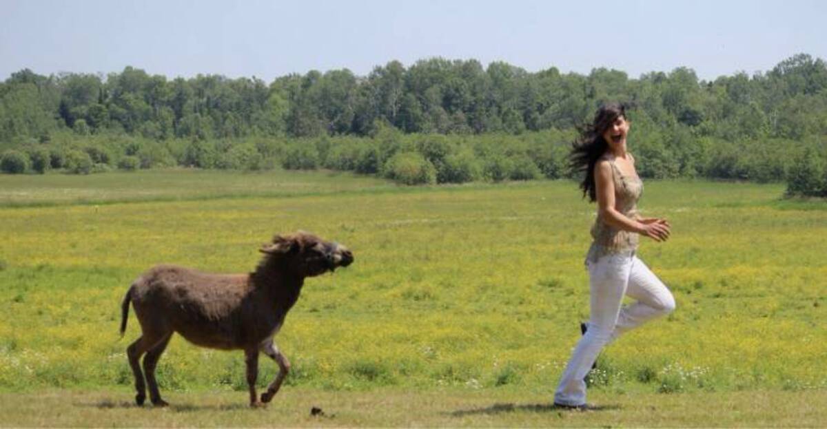 34 Choice Pics and Memes For Your Weekly Pleasure