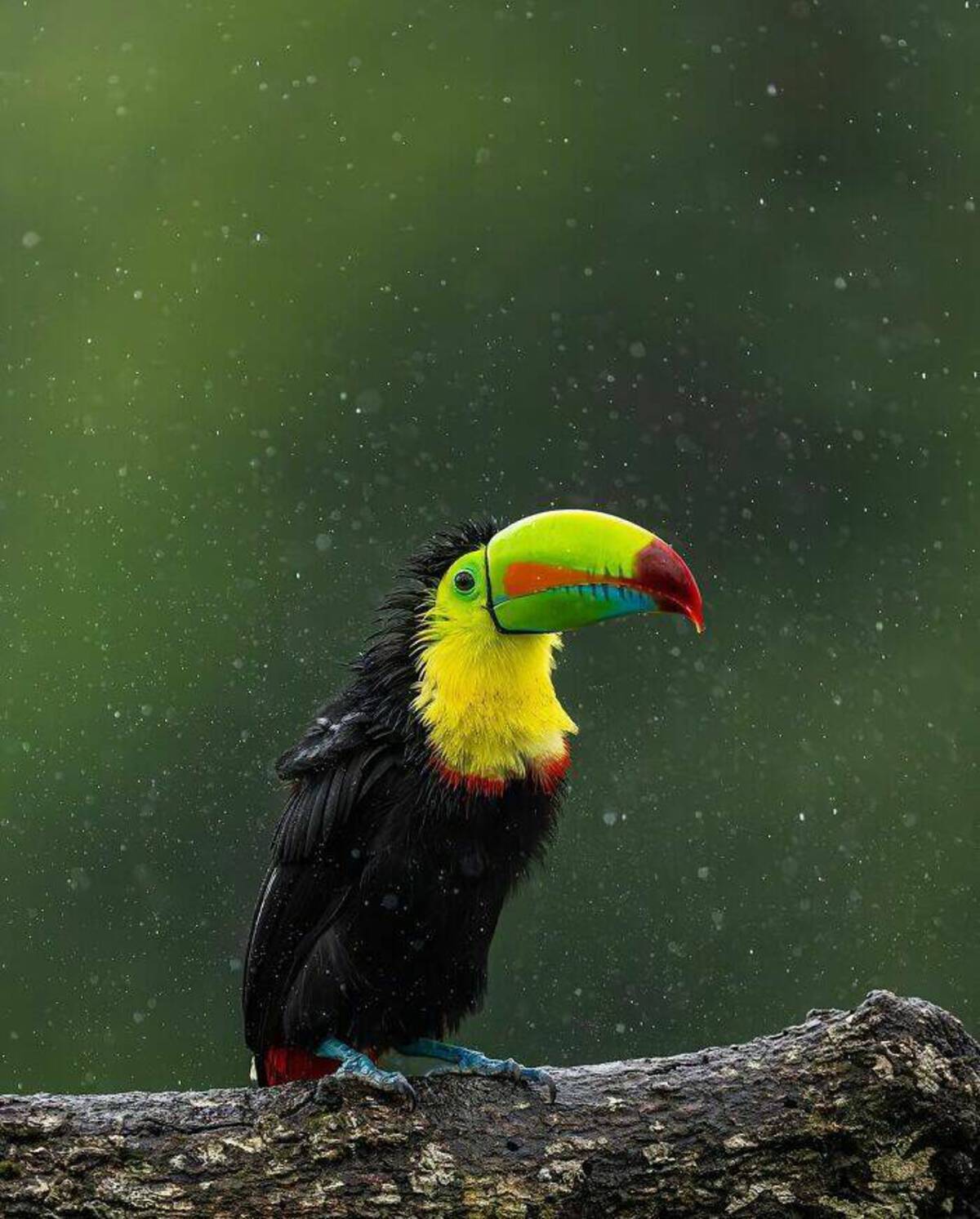 33 Fun Photos To Fuel Your Morning