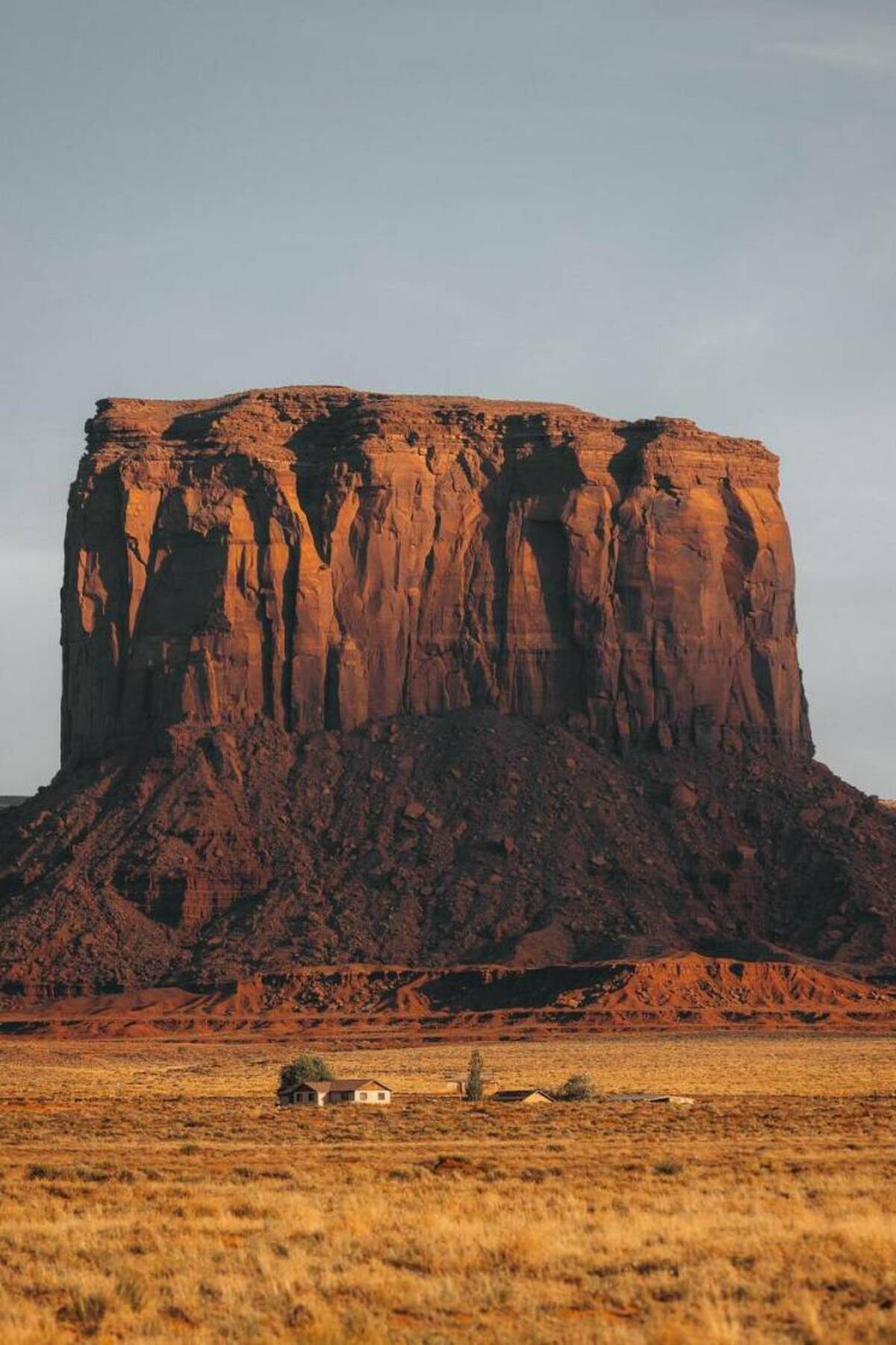 33 Fun Photos To Fuel Your Morning