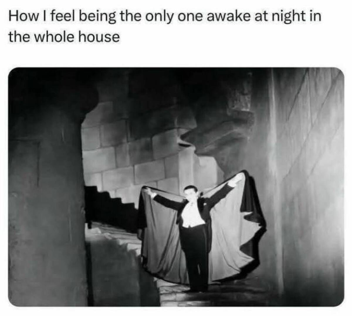 33 Fun Photos To Fuel Your Morning