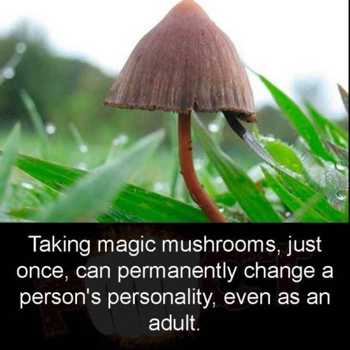 33 Fun Photos To Fuel Your Morning