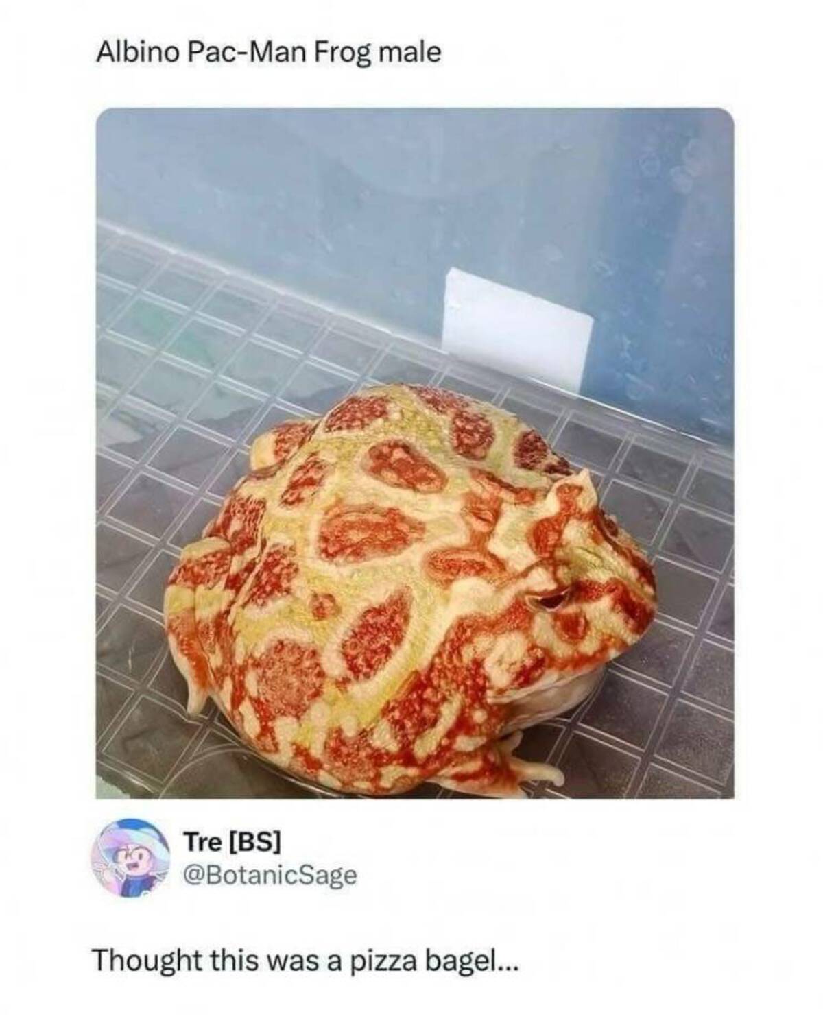 33 Fun Photos To Fuel Your Morning