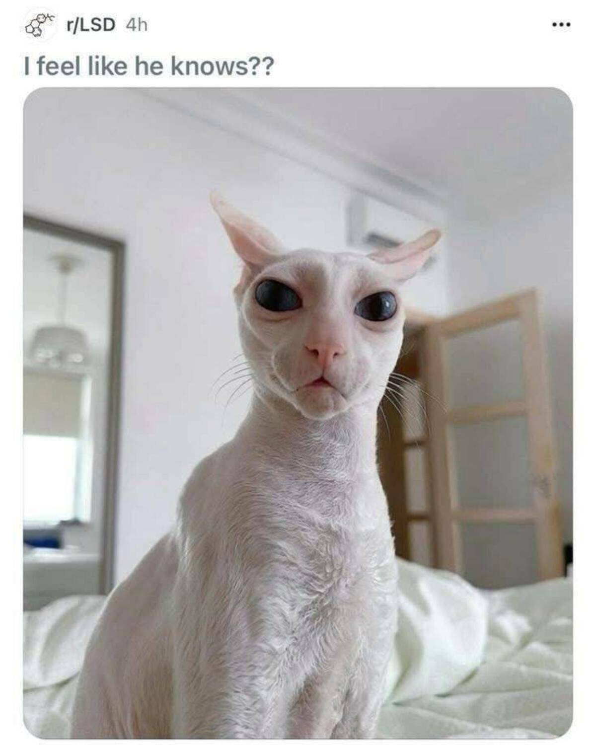 33 Fun Photos To Fuel Your Morning