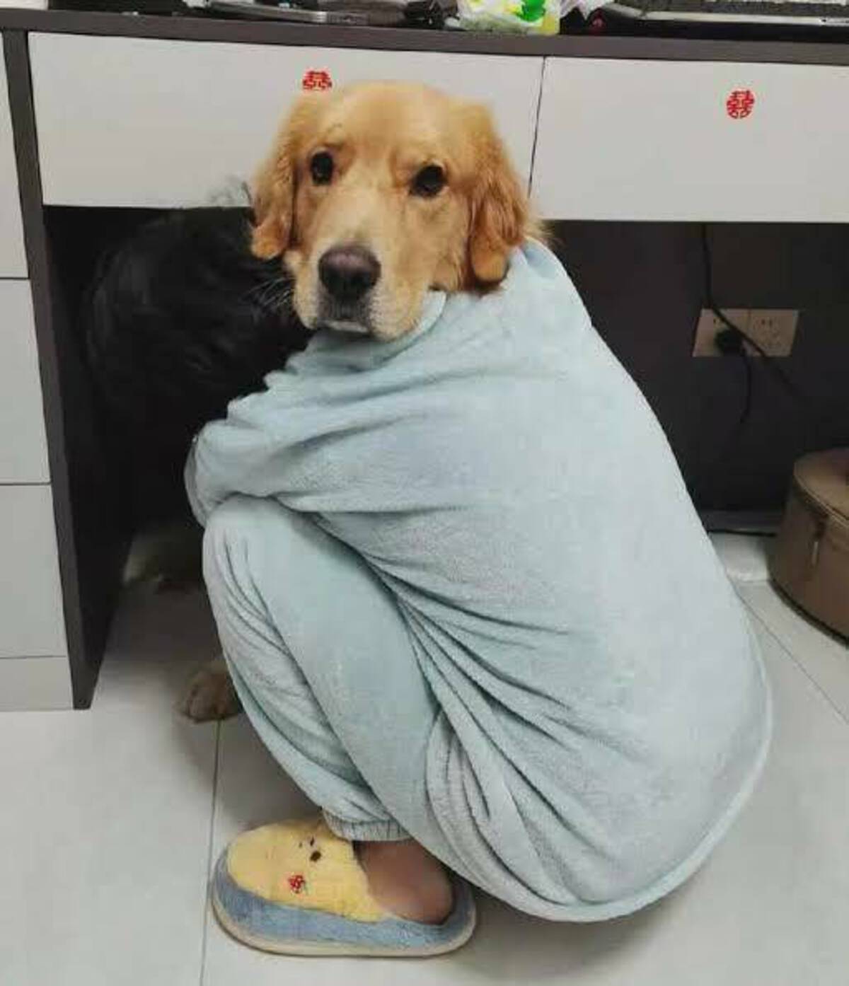 33 Fun Photos To Fuel Your Morning