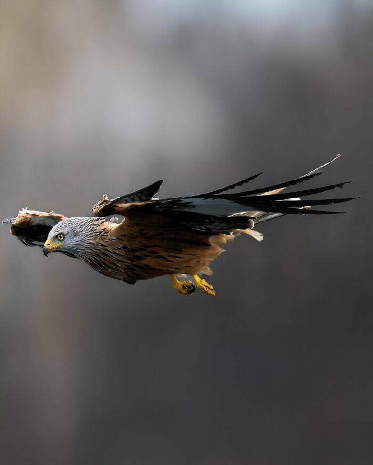 33 Fun Photos To Fuel Your Morning