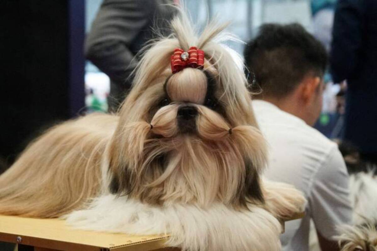 33 Fun Photos To Fuel Your Morning