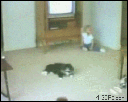 Gifs collection