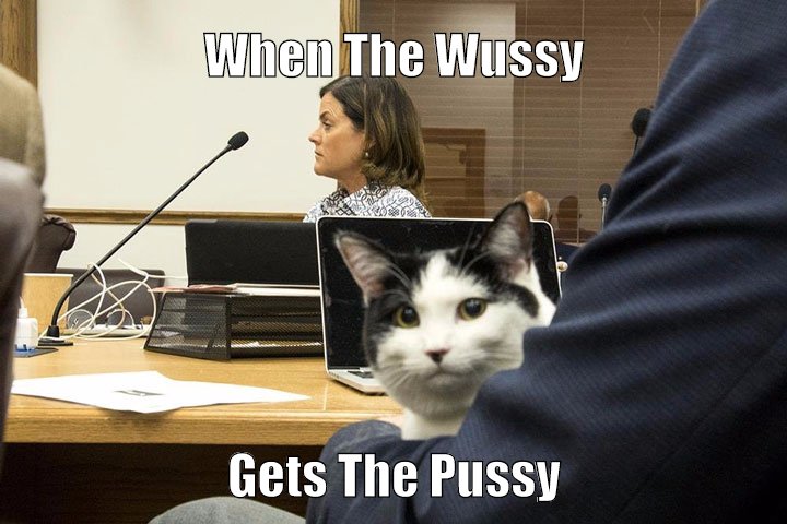 Jussi Pussy