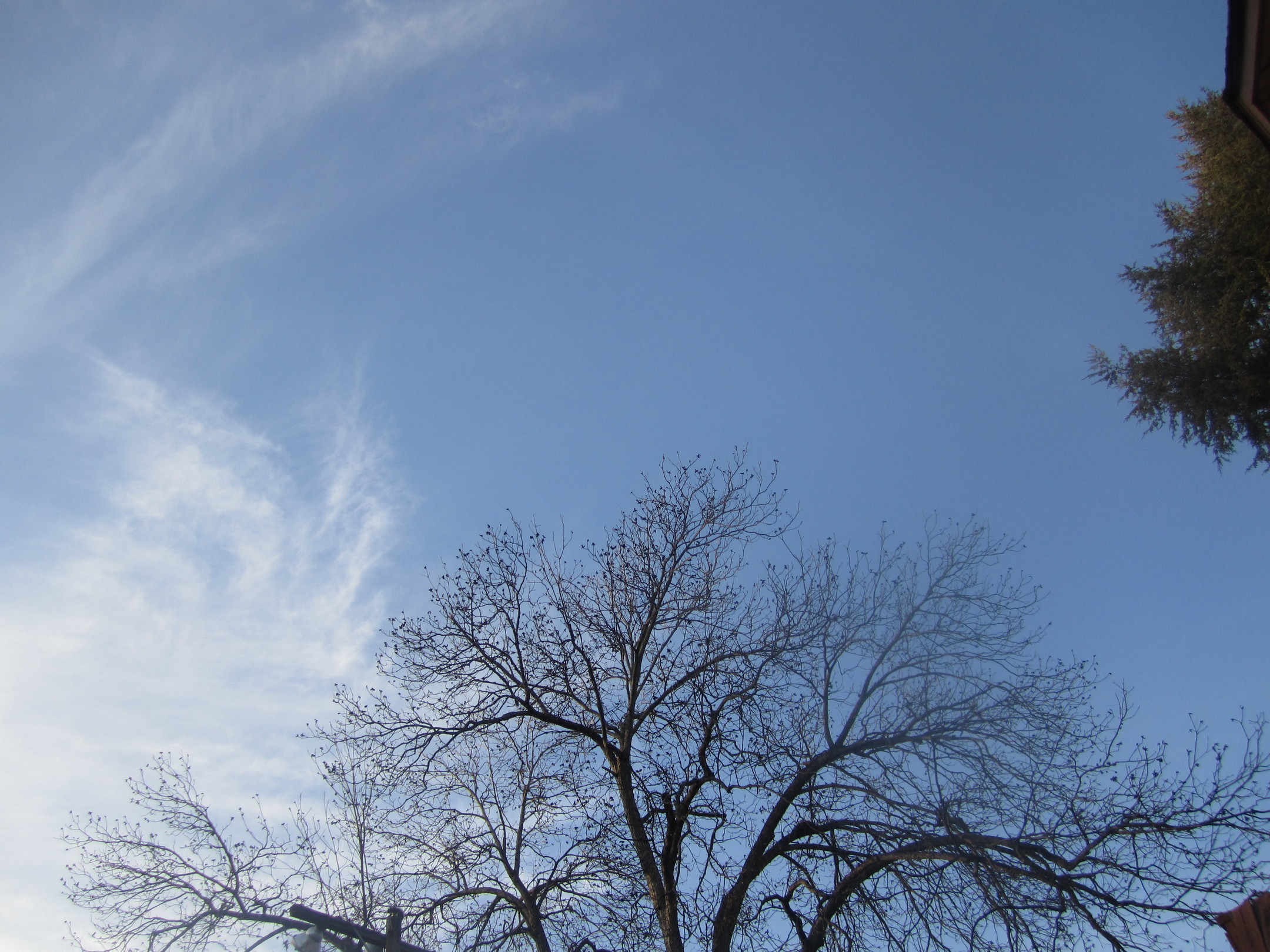 Jade Glasper of Atanta- Turning your Mess into a Message!