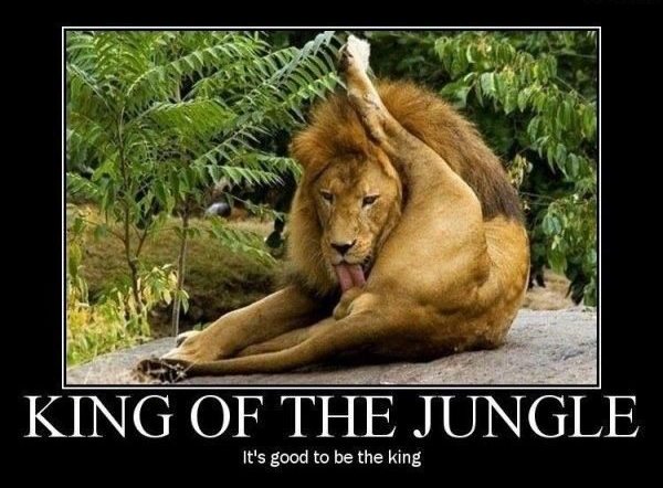 Funny Signs Demotivators