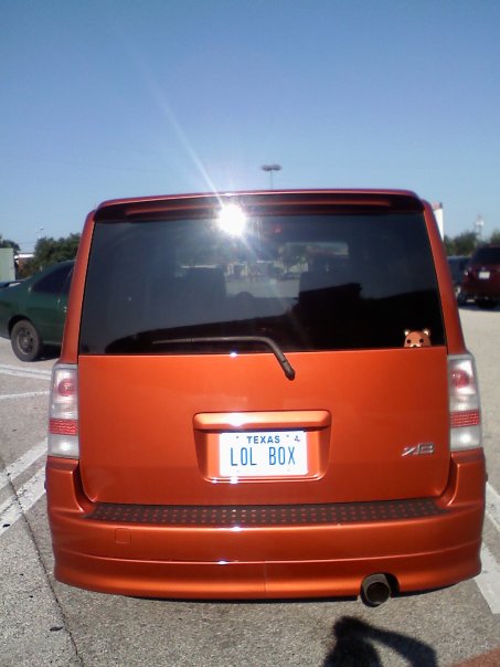 Funny license plate and guess who's peek-a-booing?