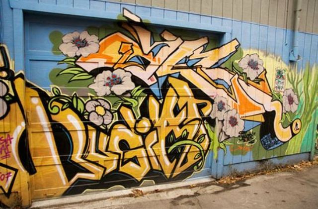 Garage Door Grafiti