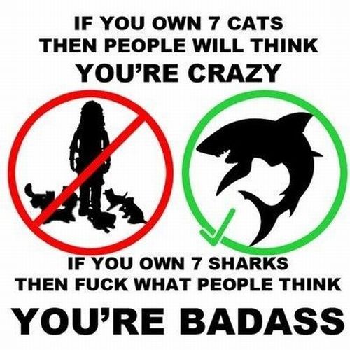 shark silhouette - If You Own 7 Cats Then People Will Think You'Re Crazy If You Own 7 Sharks Then Fuck What People Think You'Re Badass