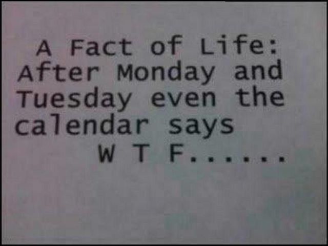 fact of life after monday - A Fact of Life After Monday and Tuesday even the calendar says W T F....
