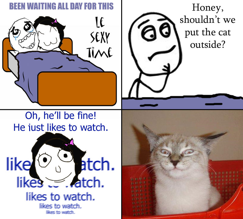 he just likes to watch cat - Been Waiting All Day For This Honey, Le sexy Time shouldn't we put the cat outside? Oh, he'll be fine! He just to watch. O atch. latch. to watch. kes to watch. to watch