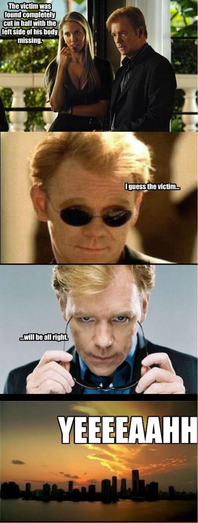 csi miami meme iron - The victim was found completely cut in half with the left side of his body missing. I guess the victim... will be all right Yeeeeaahh