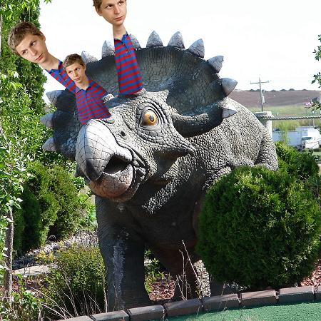 Triceratops - Ws