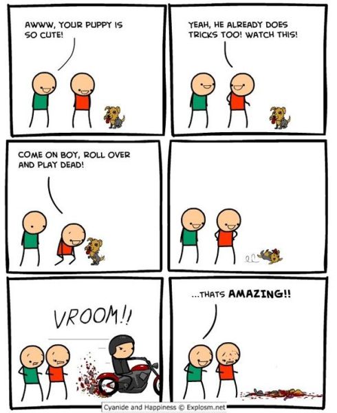 cute cyanide and happiness - Awww, Your Puppy Is So Cute! Yeah, He Already Does Tricks Too! Watch This! Come On Boy, Roll Over And Play Dead! ...Thats Amazing!! Vroom!! Q0 Cyanide and Happiness Explosm.net