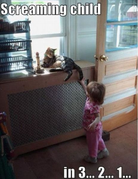 funny animal and kids - Screaming childi Ili in 3... 2... 1...