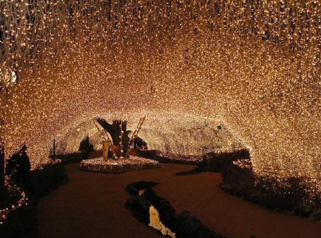 fairy lights wedding venue