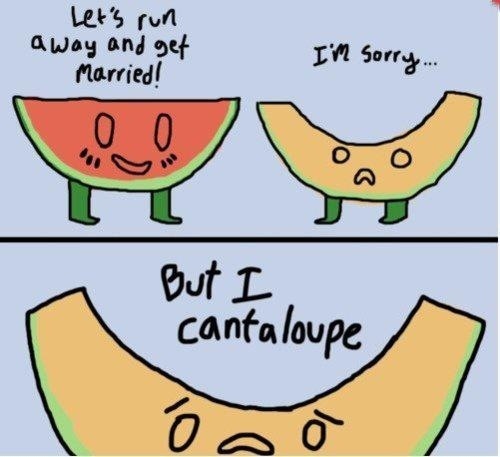 i m sorry but i cantaloupe - I'm sorry.. Let's run away and get Married! 0 0 o But I Cantaloupe