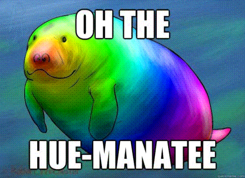 oh the hue manatee gif - Oh The HueManatee