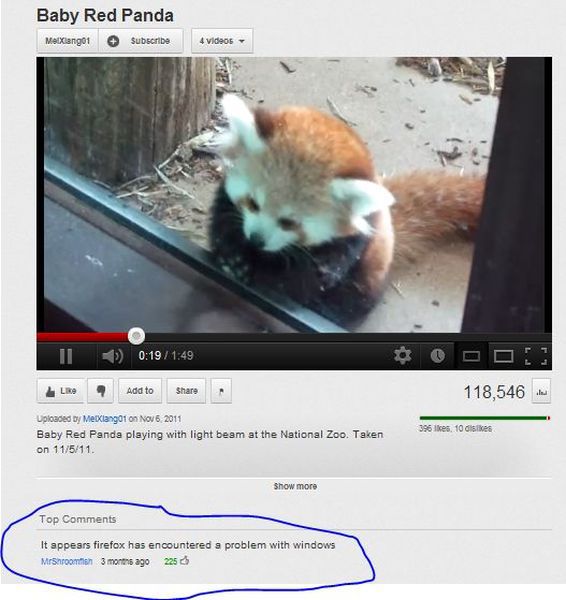 firefox has encountered a problem with windows - Baby Red Panda Mellangot Subscribe 4 videos Ii Lr Add to 118,546 396 , 10 dis Uploaded by Melango1 on Baby Red Panda playing with light beam at the National Zoo. Taken on 11511 Show more Top It appears fire