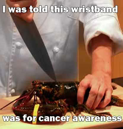lobster cancer awareness - I was told this wristband was for cancer awareness