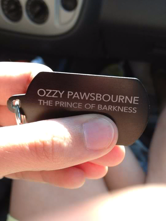 see no problem here - Ozzy Pawsbourne The Prince Of Barkness,