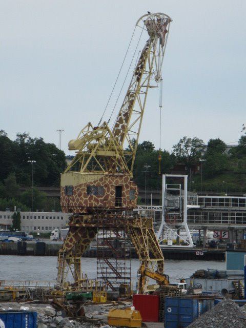 crane vessel floating