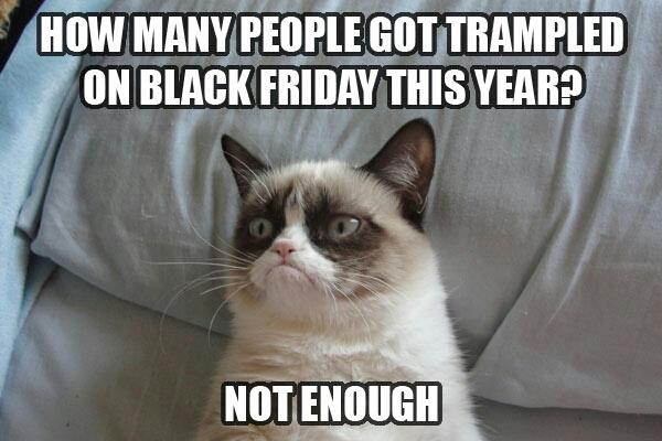 best grumpy cat memes - How Many People Got Trampled On Black Friday This Year? Not Enough
