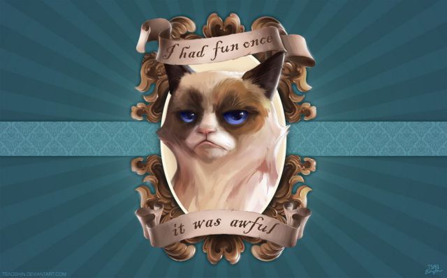 grumpy cat disney - fun once was awfur