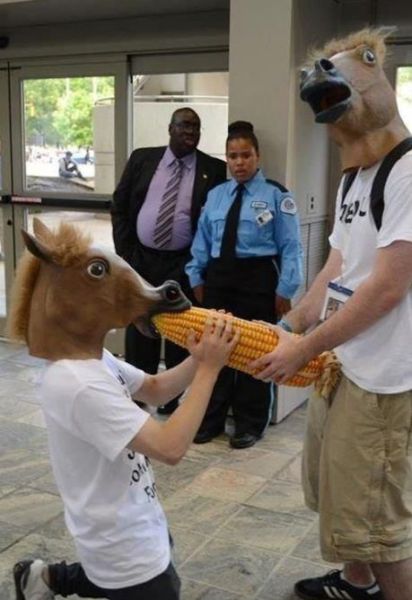 horse corn meme