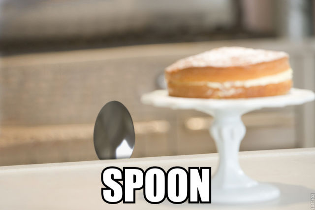 spoon meme - Spoon ROFLE01