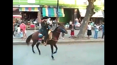 gifs - horse falls back while a person is on it