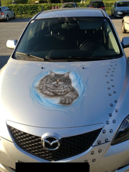 cat painted on car -