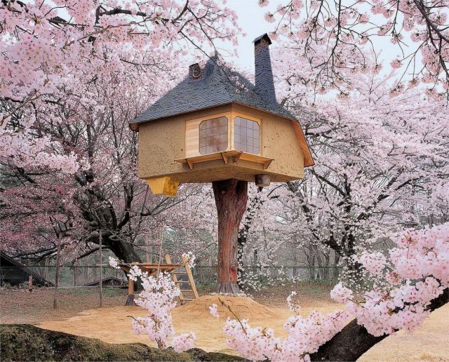 tree house japan