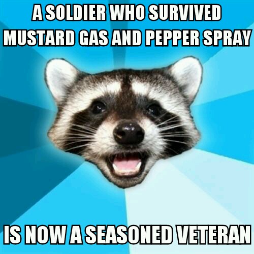 lame pun coon - A Soldier Who Survived Mustard Gas And Pepper Spray Is Now Aseasoned Veteran